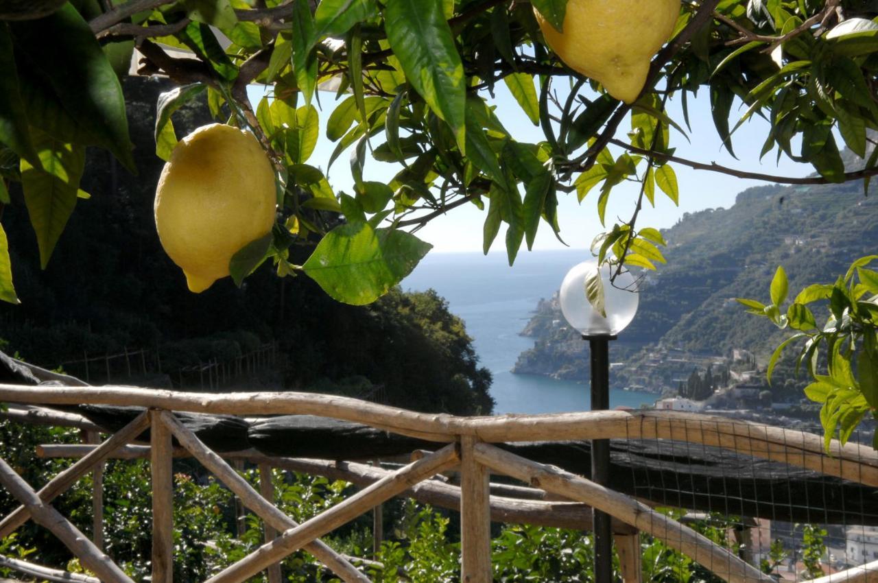 Casa Ortensia Minori Dış mekan fotoğraf