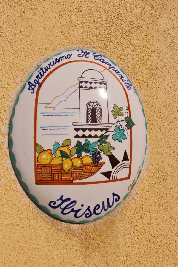 Casa Ortensia Minori Dış mekan fotoğraf