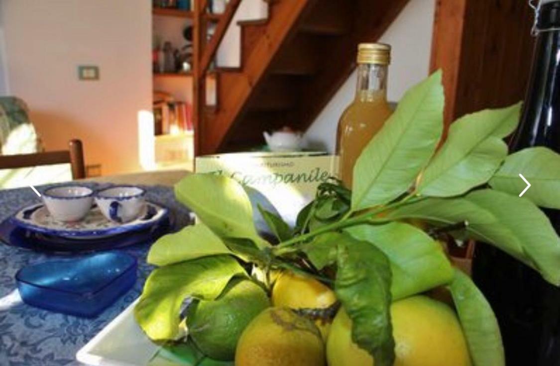 Casa Ortensia Minori Dış mekan fotoğraf